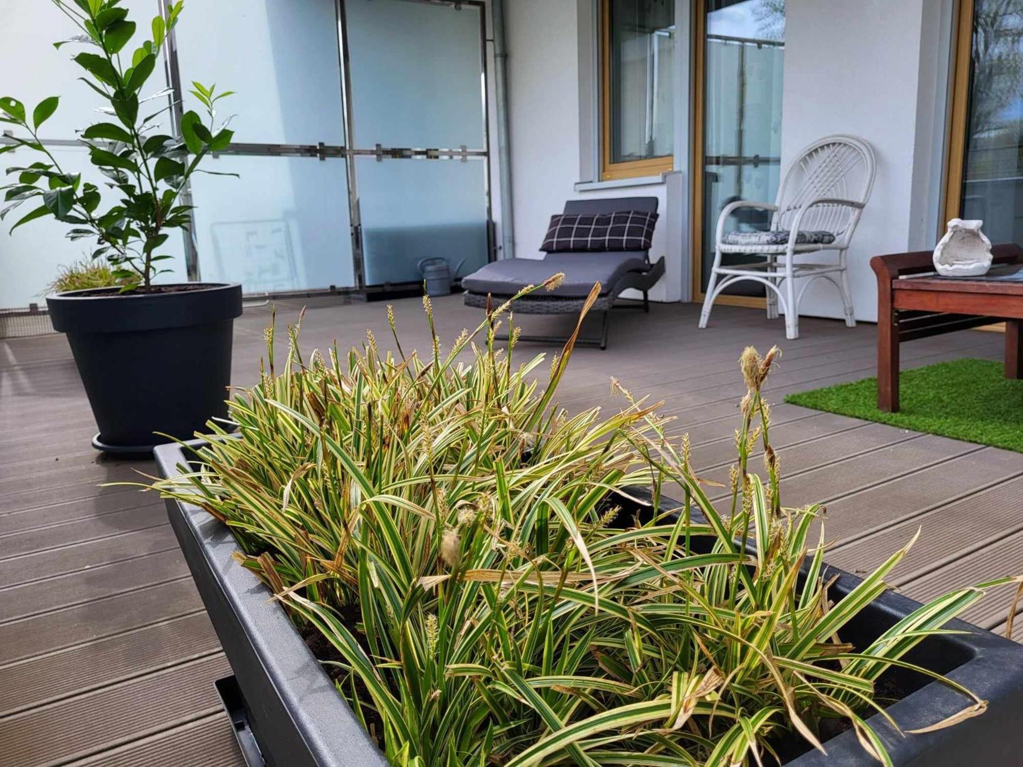 Miodowy Dom Exspanse Apartament 2 Lub 3 Pokoje Z Tarasem I Parkingiem Kolobrzeg Exterior photo